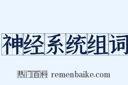 神经系统组词是什么意思的图片